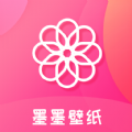苹果手机免费上外网
