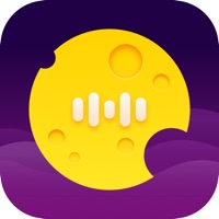 老王npv加速器破解版