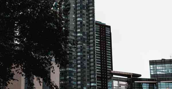 2023越墙软件